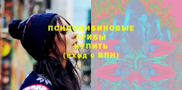 стаф Алексеевка
